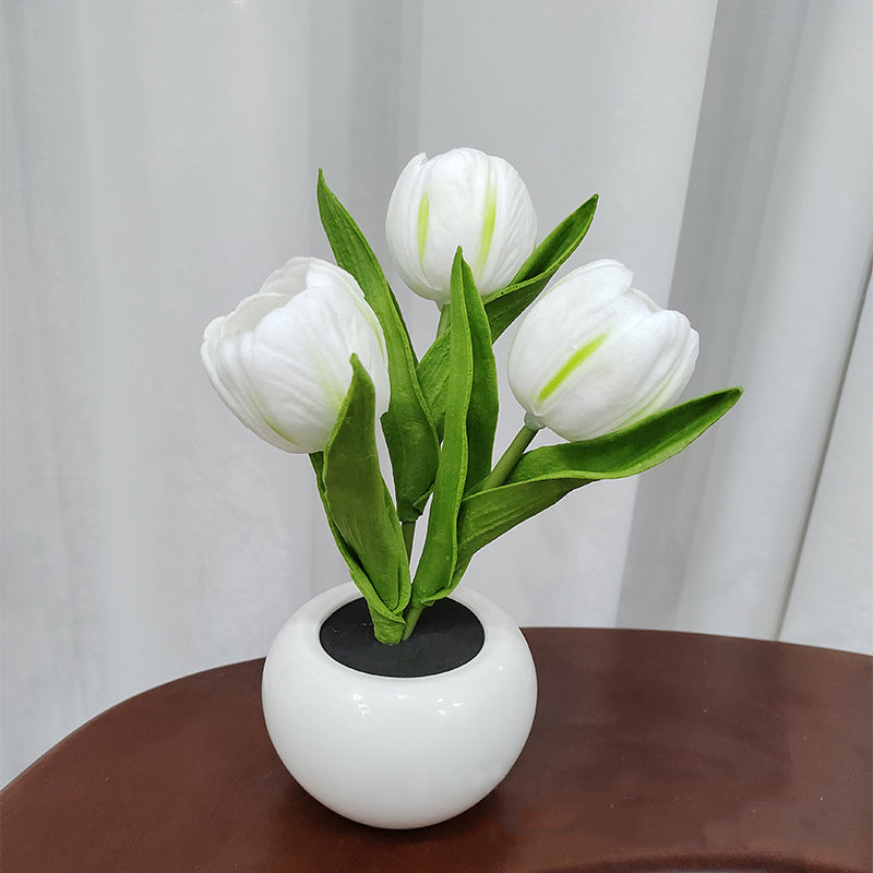 Bonsai Tulips Nightlight