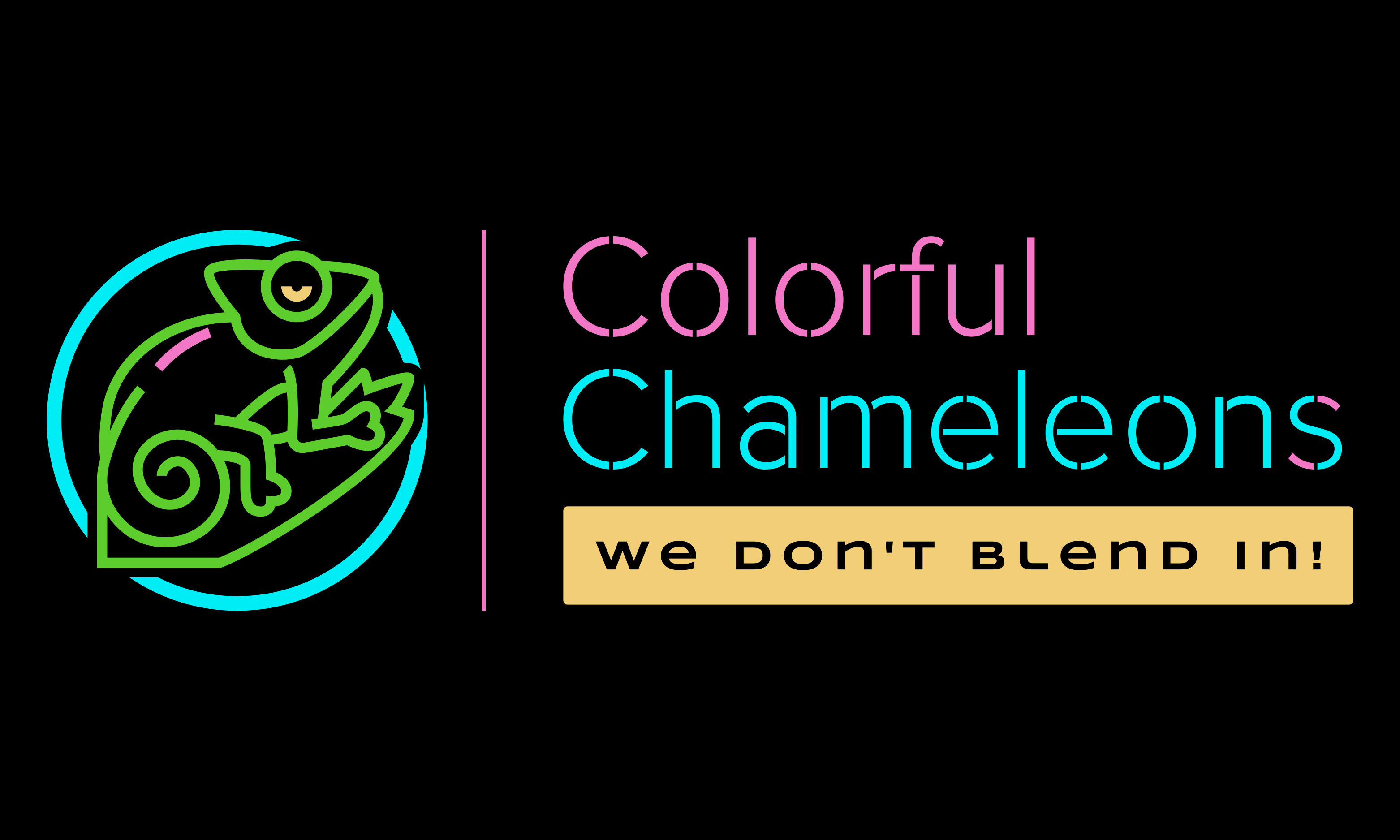 Colorful Chameleons Creativity Store